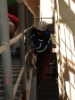 DSC04458.JPG