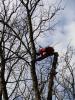DSC00909.JPG