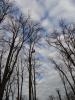 DSC00911.JPG