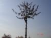 DSC08153.JPG